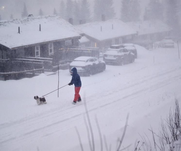 Golpea tormenta n&oacute;rdica a Suecia con muertos y apagones