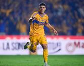 Reportarían Tigres hoy a prácticas Reportarían Tigres hoy a prácticas