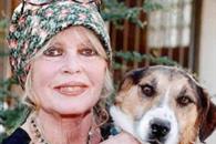 Defensores de los animales recuerdan a Brigitte Bardot 