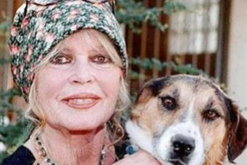 Defensores de los animales recuerdan a Brigitte Bardot 