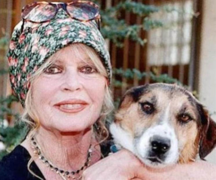 Defensores de los animales recuerdan a Brigitte Bardot 