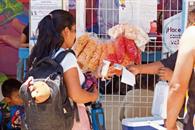 Gana SEP 26 amparos contra prohibici&oacute;n de comida chatarra