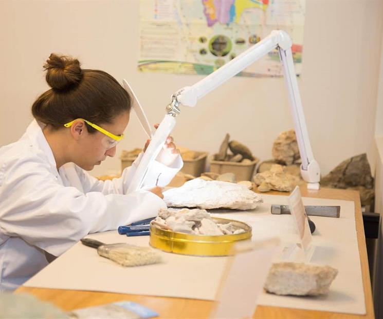 Un f&oacute;sil ayuda a comprender c&oacute;mo el cerebro se adapt&oacute; al vuelo