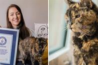 Flossie, la gata m&aacute;s longeva del mundo celebra 30 a&ntilde;os de vida