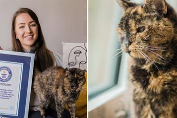 Flossie, la gata m&aacute;s longeva del mundo celebra 30 a&ntilde;os de vida