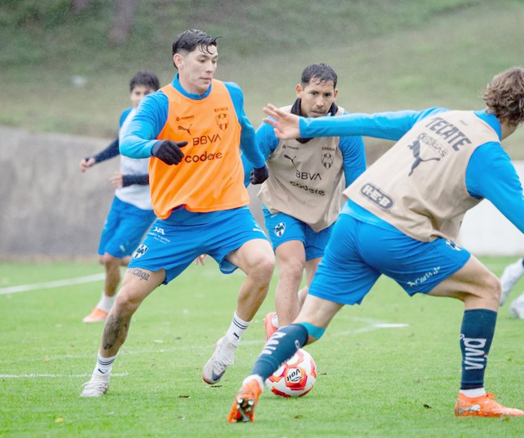 N&uacute;meros de Torrent no impresionan