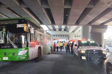 Reportan conato de incendio en Ruta 155