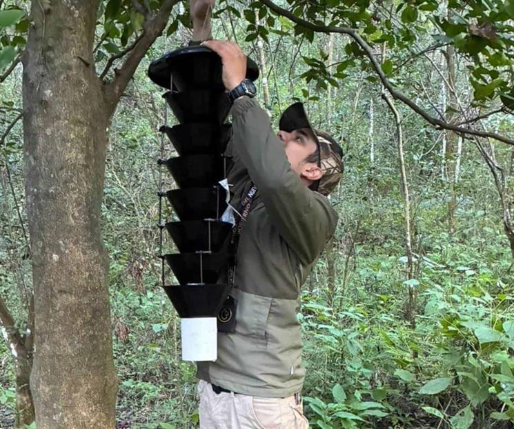 Entrega PVSNL trampas de plagas forestales a Conafor