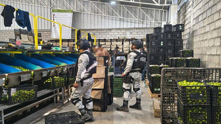 Detienen a 278 personas a 50 d&iacute;as del Plan Michoac&aacute;n