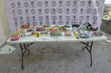 Aseguran 347 kilos de pirotecnia