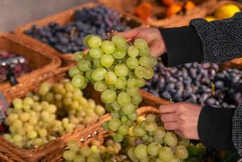 Encabeza Sonora producci&oacute;n nacional de uva en 2025