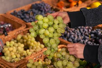 Encabeza Sonora producción nacional de uva en 2025