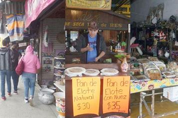 Reciben decenas de regios el a&ntilde;o en La Boca