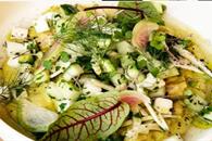 Parcela: cocina farm to table en Tepoztlán Parcela: cocina farm to table en Tepoztlán