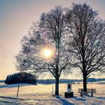 &iquest;Qu&eacute; es el perihelio y c&oacute;mo afectar&aacute; a la Tierra cuando ocurra?