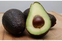 Buscan que el aguacate del Edomex llegue al S&uacute;per Bowl