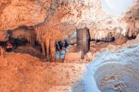 Denuncian ecocidios y omisiones en el Tren Maya Denuncian ecocidios y omisiones en el Tren Maya