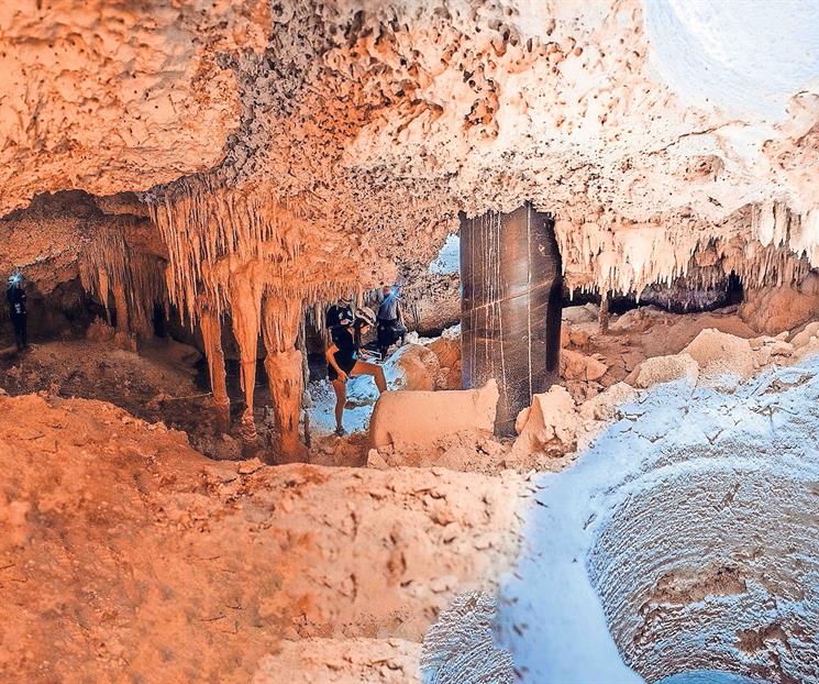 Denuncian ecocidios y omisiones en el Tren Maya Denuncian ecocidios y omisiones en el Tren Maya