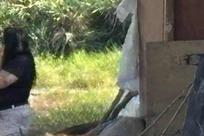 Hallan cad&aacute;ver dentro de tejab&aacute;n en Apodaca