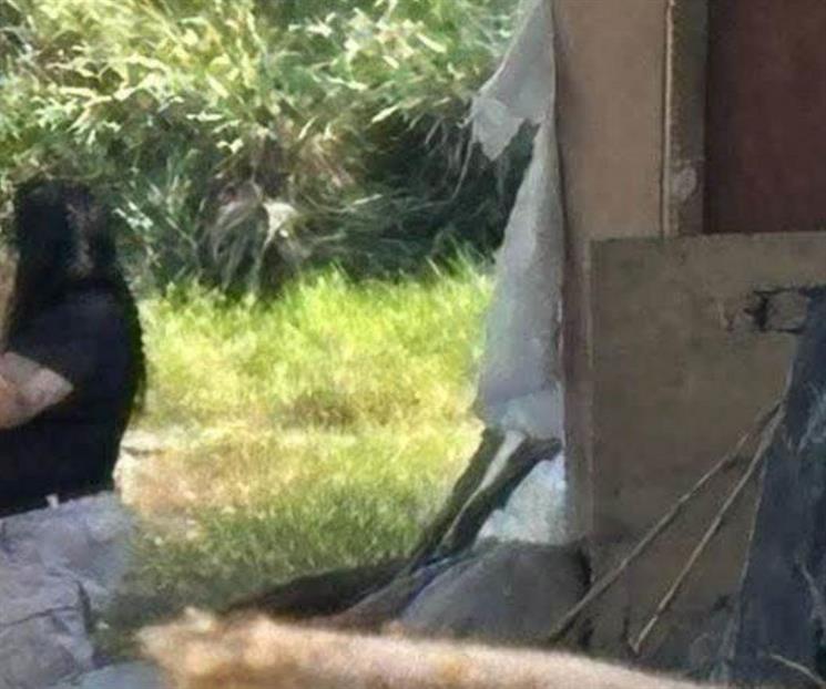 Hallan cad&aacute;ver dentro de tejab&aacute;n en Apodaca