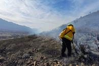 Exhortan a extremar precauciones para evitar incendios forestales