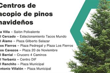 Instala Santiago 10 puntos de recolecci&oacute;n de pinos navide&ntilde;os