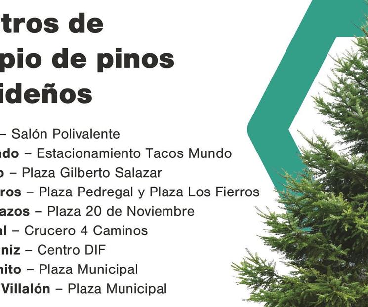 Instala Santiago 10 puntos de recolecci&oacute;n de pinos navide&ntilde;os