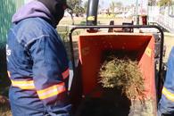 Pone Escobedo en operaci&oacute;n 9 centros de acopio de pinos