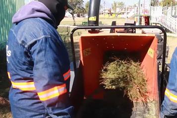 Pone Escobedo en operaci&oacute;n 9 centros de acopio de pinos