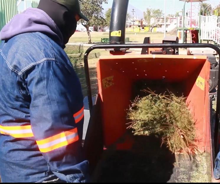 Pone Escobedo en operaci&oacute;n 9 centros de acopio de pinos