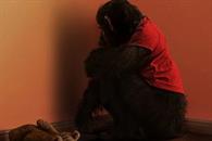 Primate - Un desfile de violencia por la rabia Primate - Un desfile de violencia por la rabia