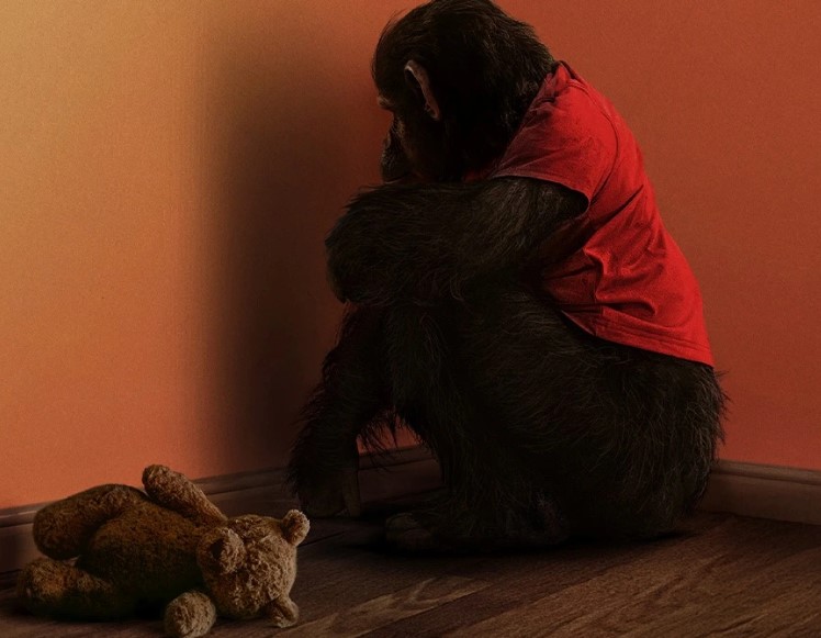 Primate - Un desfile de violencia por la rabia