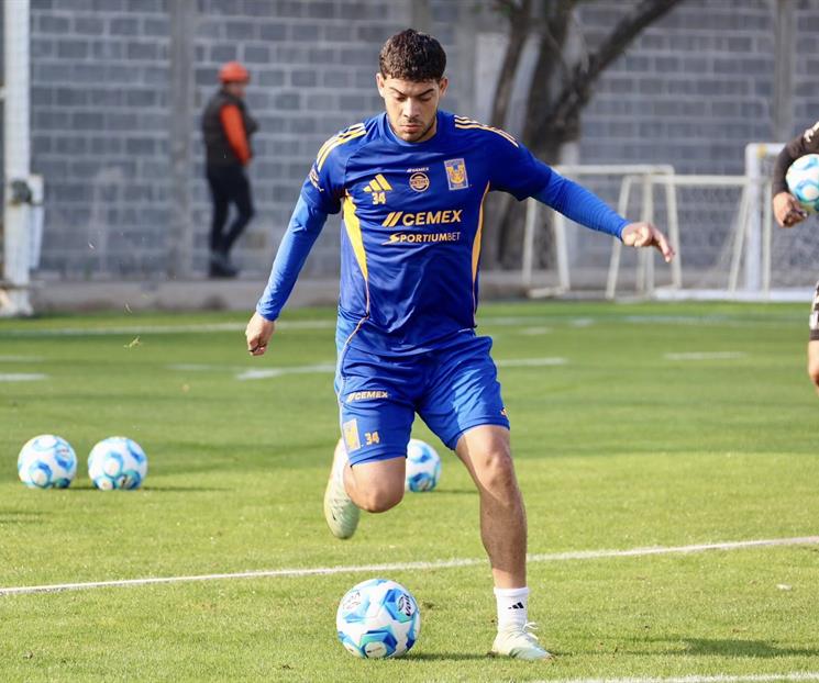 Seguir&aacute; Bernardo Parra en Tigres