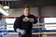 Canelo reaparece en entrenamiento tras cirugía Canelo reaparece en entrenamiento tras cirugía