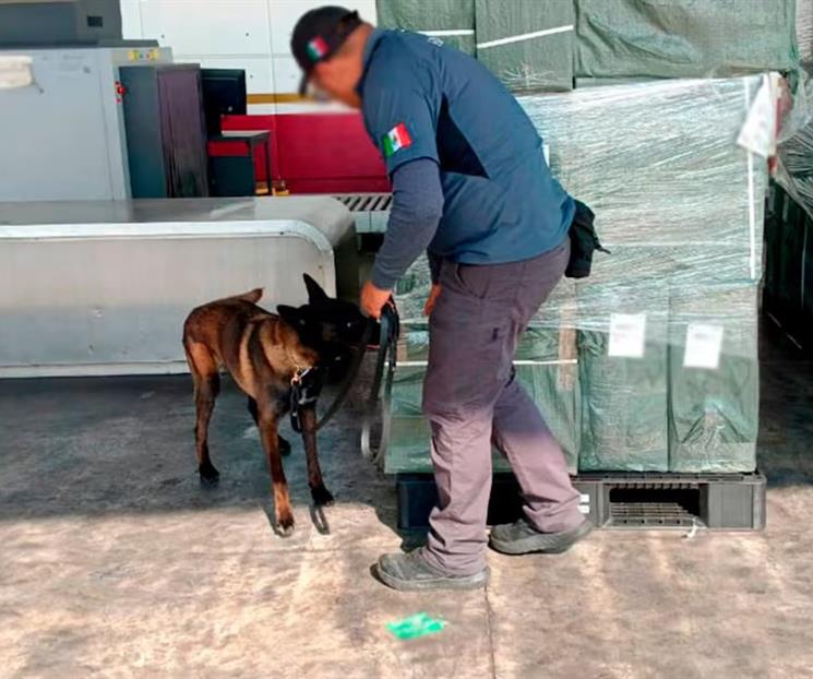 Aseguran casi 20 toneladas de tabaco ilegal