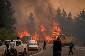 Incendio forestal en Patagonia argentina fuera de control afecta