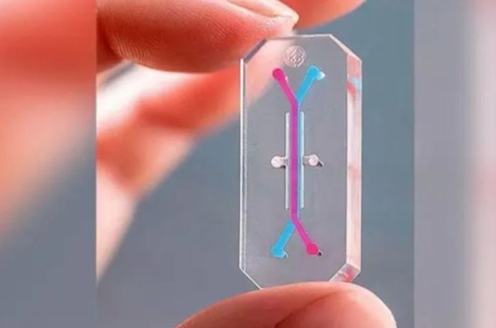 Crea UNAM primer hígado en chip Crea UNAM primer hígado en chip