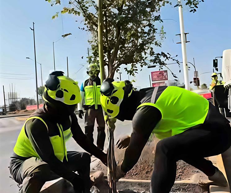 Convierten v&iacute;a al aeropuerto de Monterrey en corredor verde