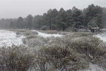 Frente fr&iacute;o n&uacute;mero 27 provocar&aacute; afectaciones en m&aacute;s de 20 estados