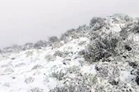 Registra NL su primera nevada; fue en cuatro municipios Registra NL su primera nevada; fue en cuatro municipios