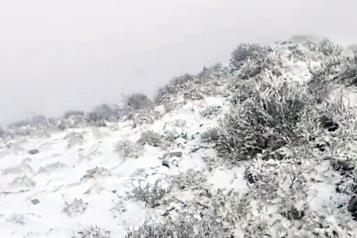 Registra NL su primera nevada; fue en cuatro municipios