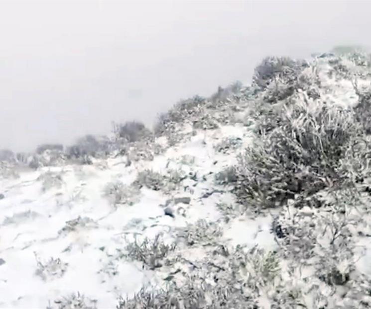 Registra NL su primera nevada; fue en cuatro municipios