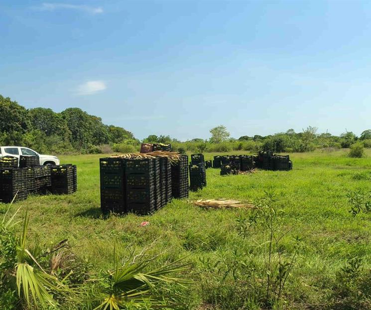 Señala Buen Gobierno a Semar por control deficiente Señala Buen Gobierno a Semar por control deficiente