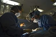 IMSS registra cifra r&eacute;cord de trasplantes durante 2025