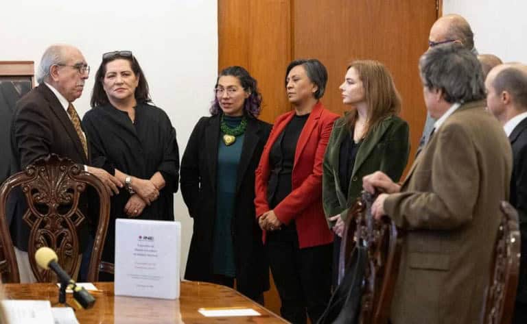 Busca INE mantener pluris  y modificar elecci&oacute;n judicial