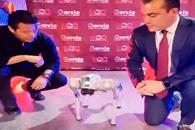 Presentan K9 robotizado