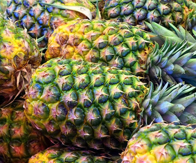 Contraindicaciones de comer piña Contraindicaciones de comer piña