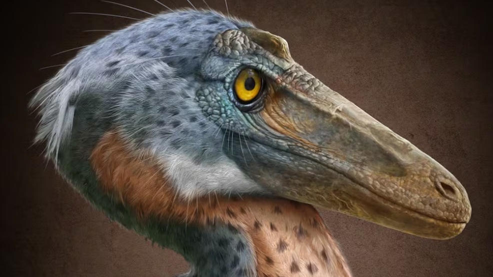 Descubren en Coahuila al Xenovenator espinosai, un nuevo dinosaurio