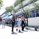 Anuncian licenciatura enfocada en la creaci&oacute;n y gesti&oacute;n medi&aacute;tica