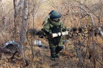 En 2025 desactivaron mil 645 bombas en Michoac&aacute;n